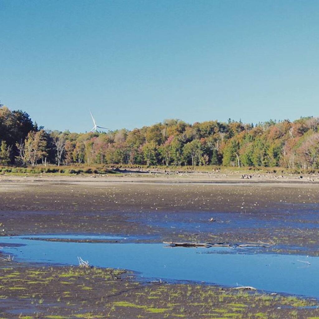 Photo: Drained Whetstone Reservoir