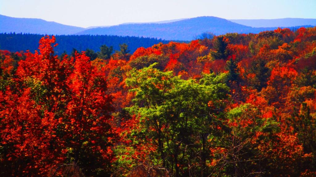 Photo: Hills