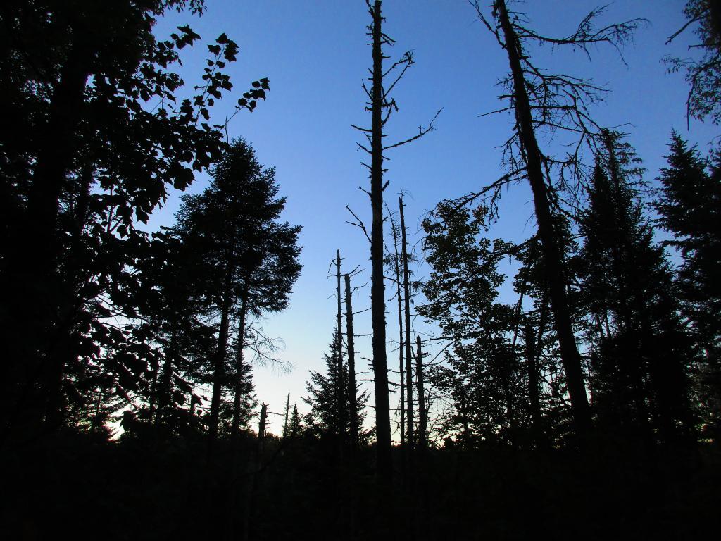 Photo: Dusk comes early in September Photo: Dusk comes early in September