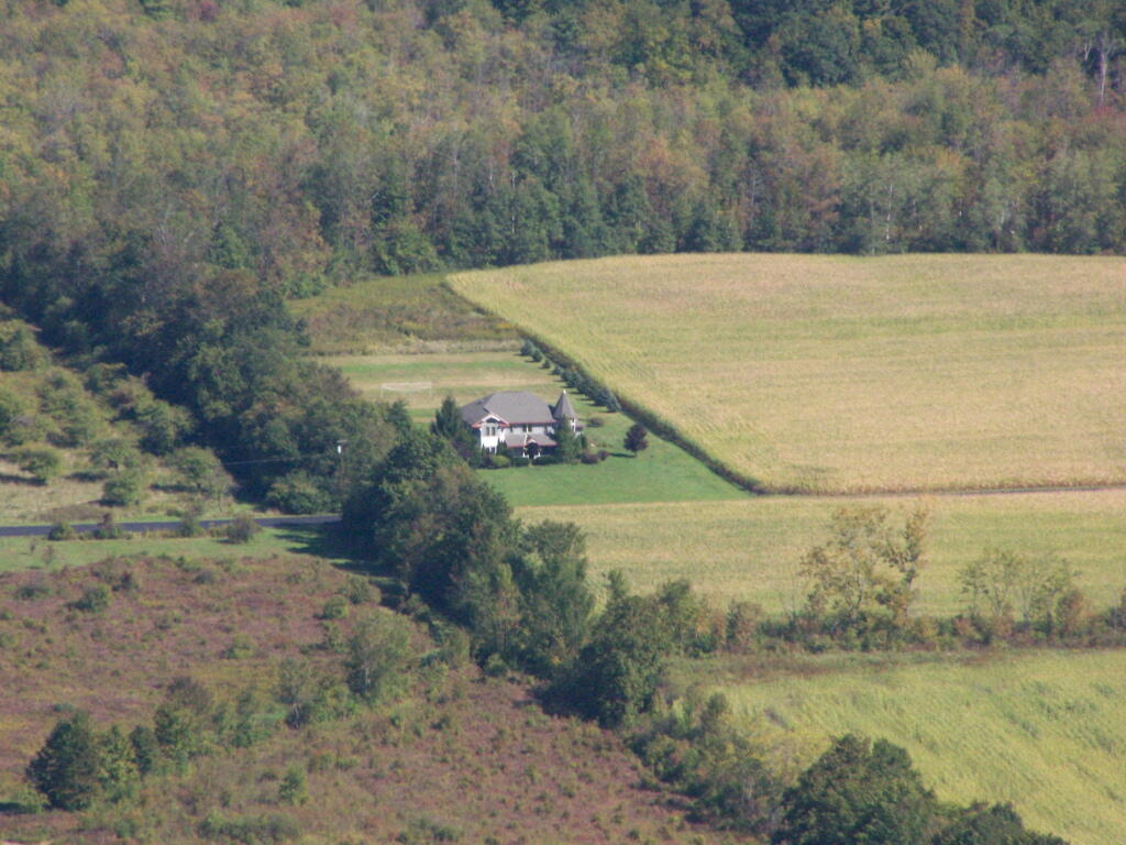 Photo: Castle and Corn