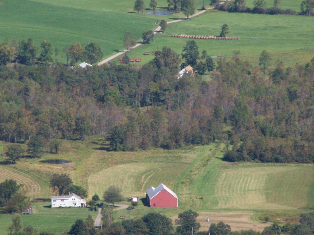 Photo: Farms Photo: Farms