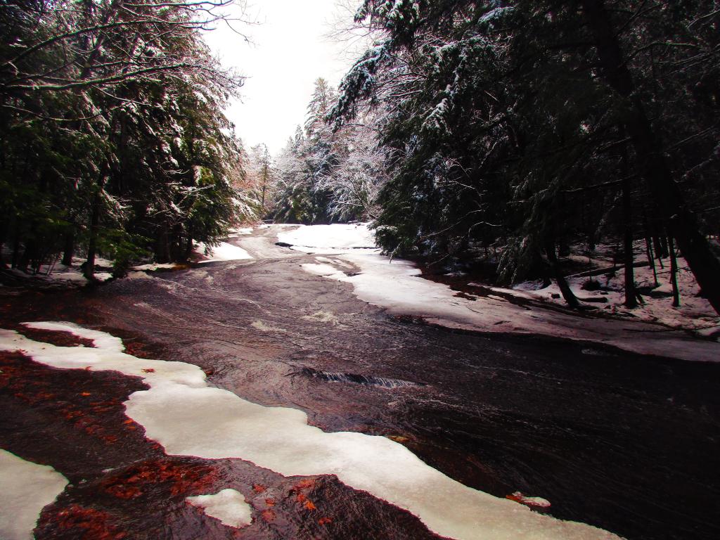Photo: Bear Slide Falls