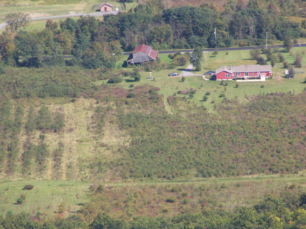 Photo: Marshes and Houses Photo: Marshes and Houses