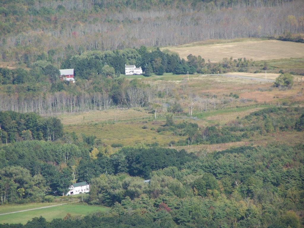 Photo: Housing