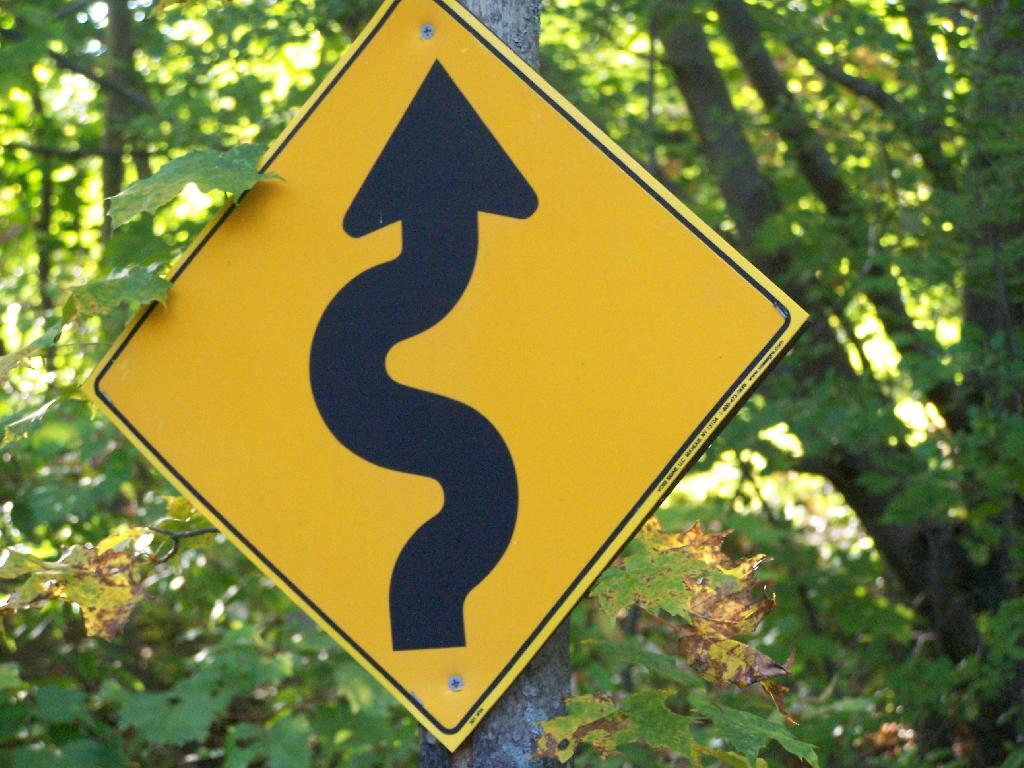 Photo: Twisty Trail Photo: Twisty Trail