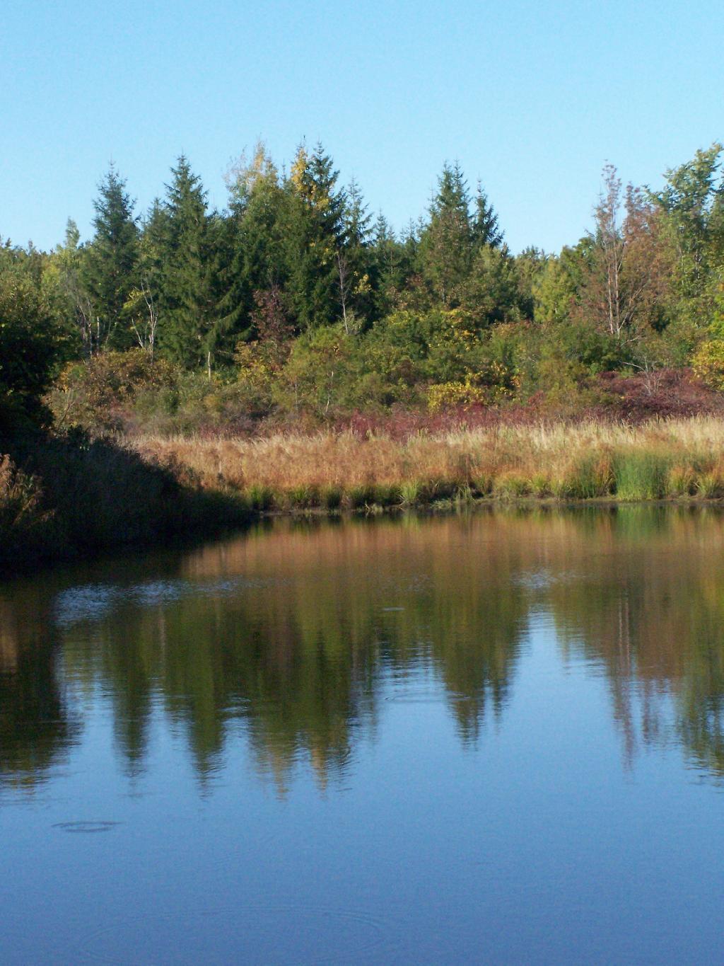 Photo: Pond Photo: Pond