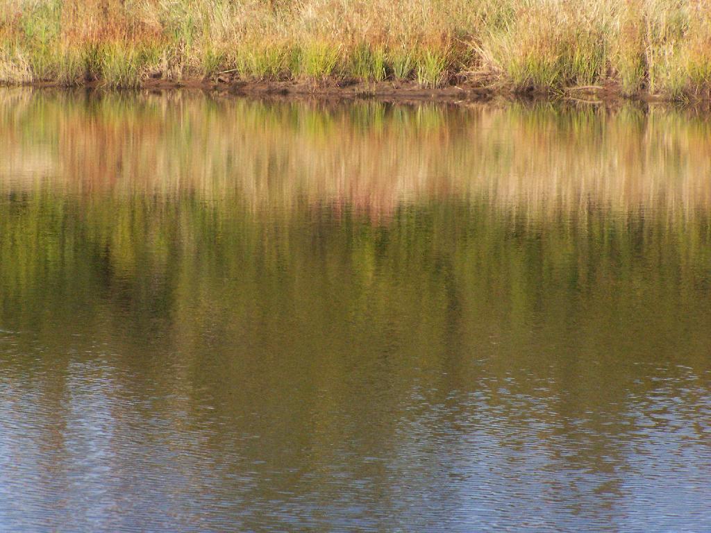 Photo: Reflection Photo: Reflection