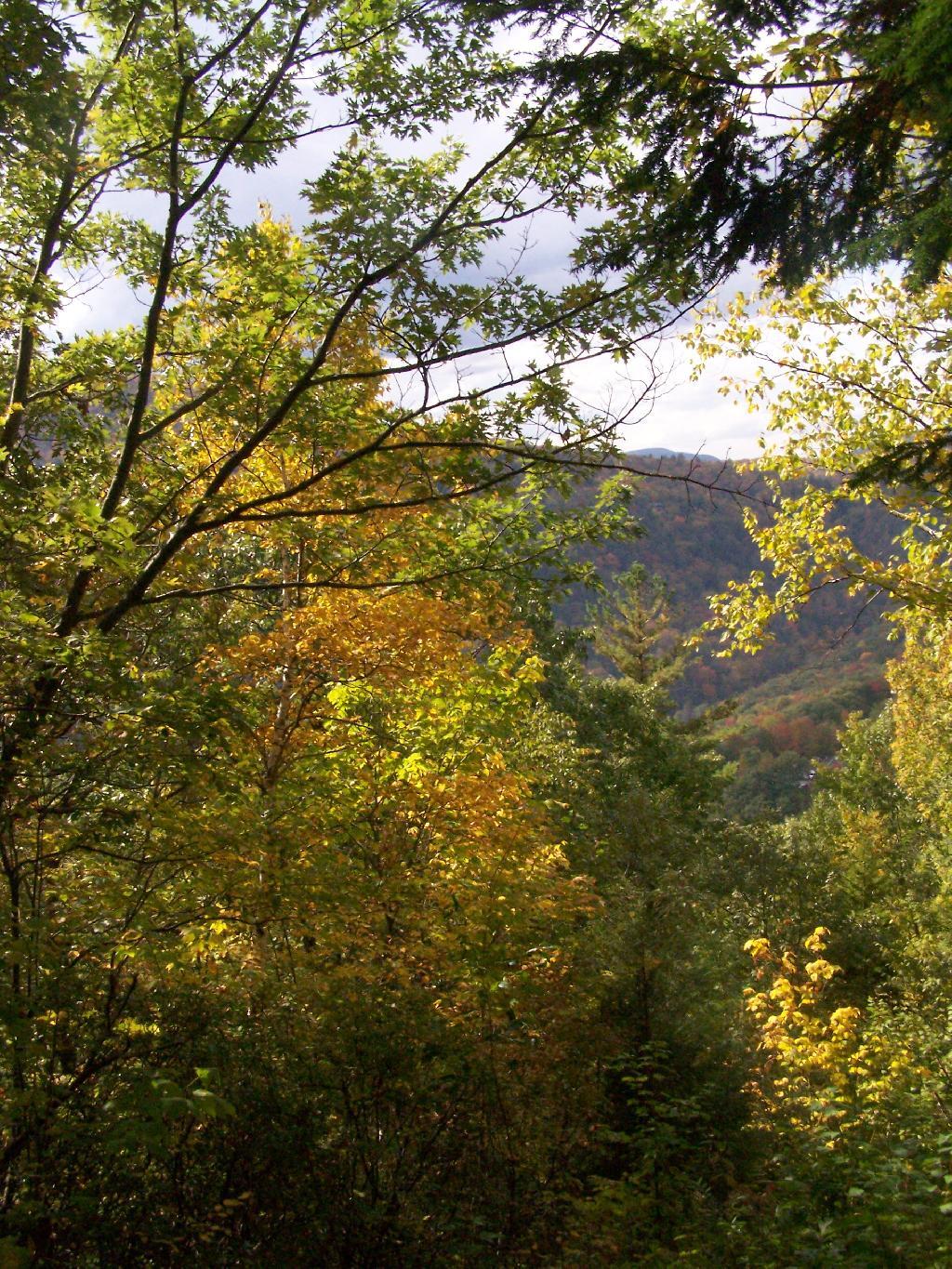 Photo: Fall's Colors