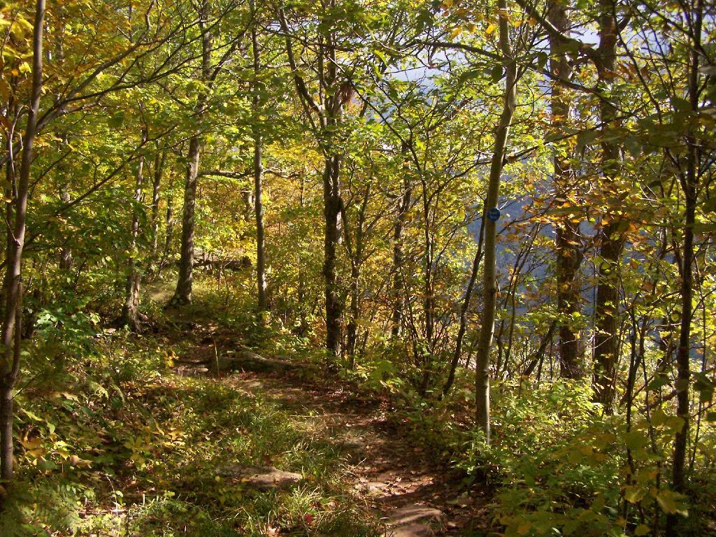 Photo: Along Trail