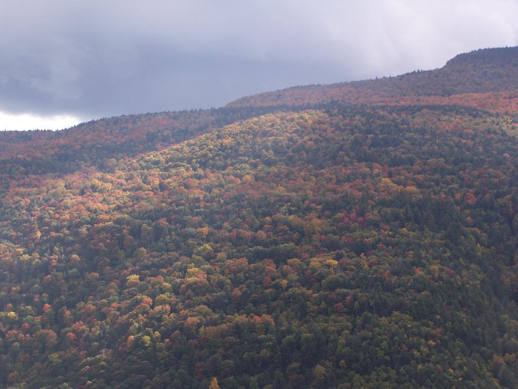 Photo: Katerskill High Point