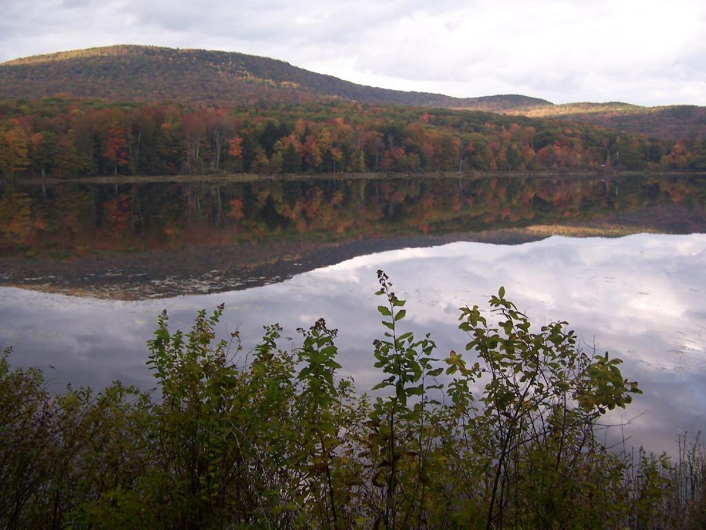 Photo: Stoppel Point Reflects