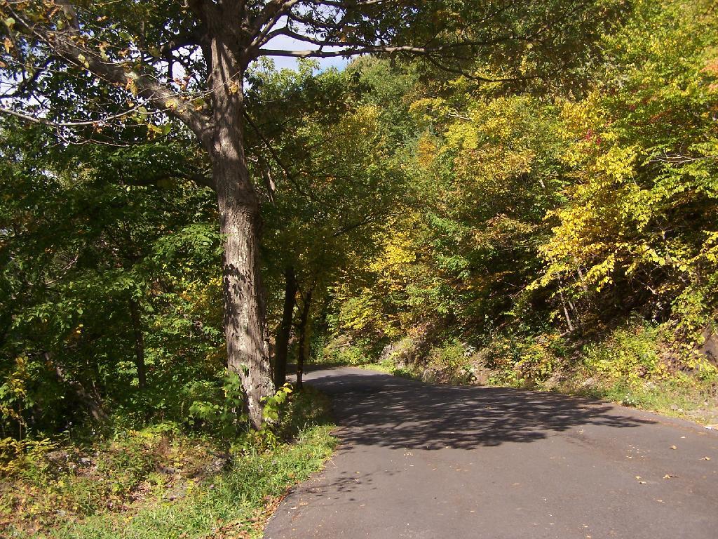 Photo: Katerskill Clove Road Photo: Katerskill Clove Road