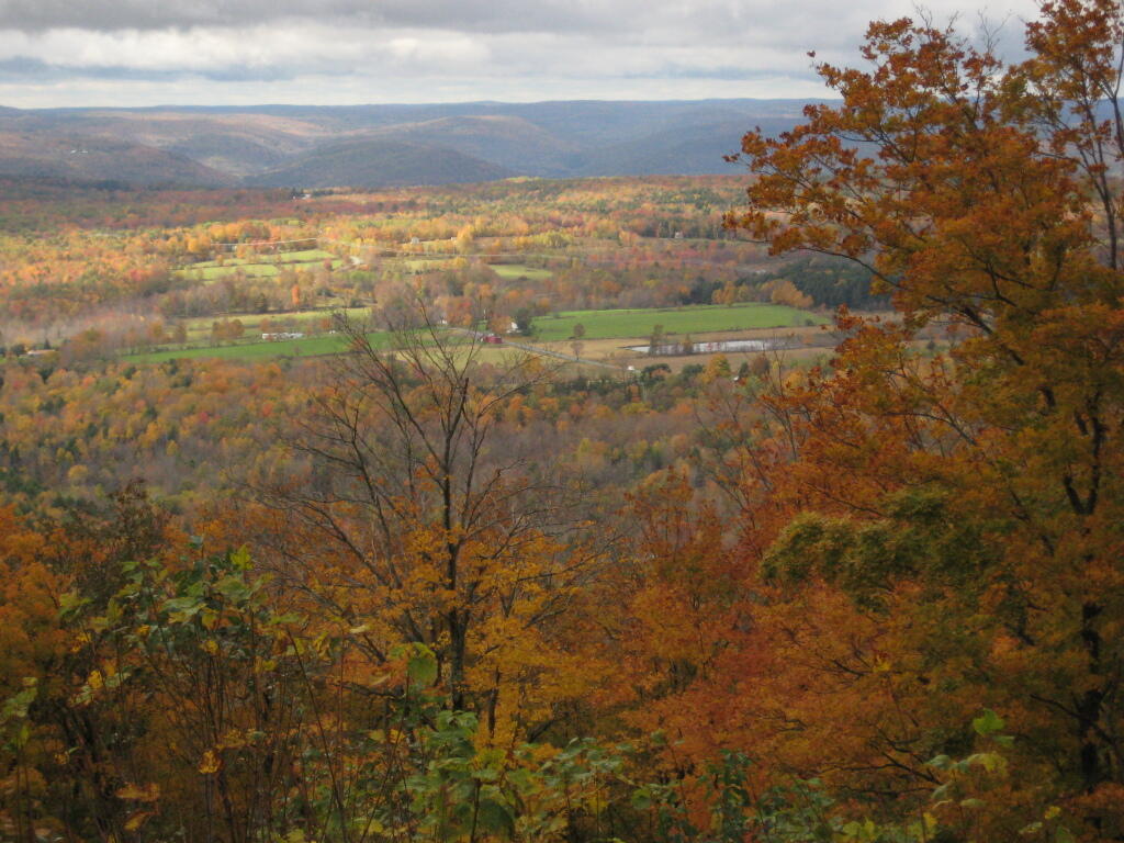 Photo: Towards Emminence