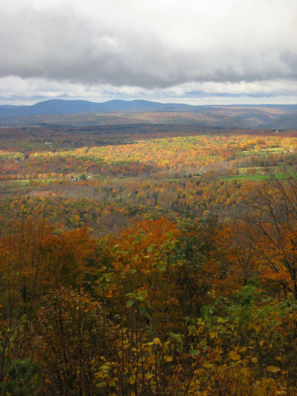 Photo: Fall Sky