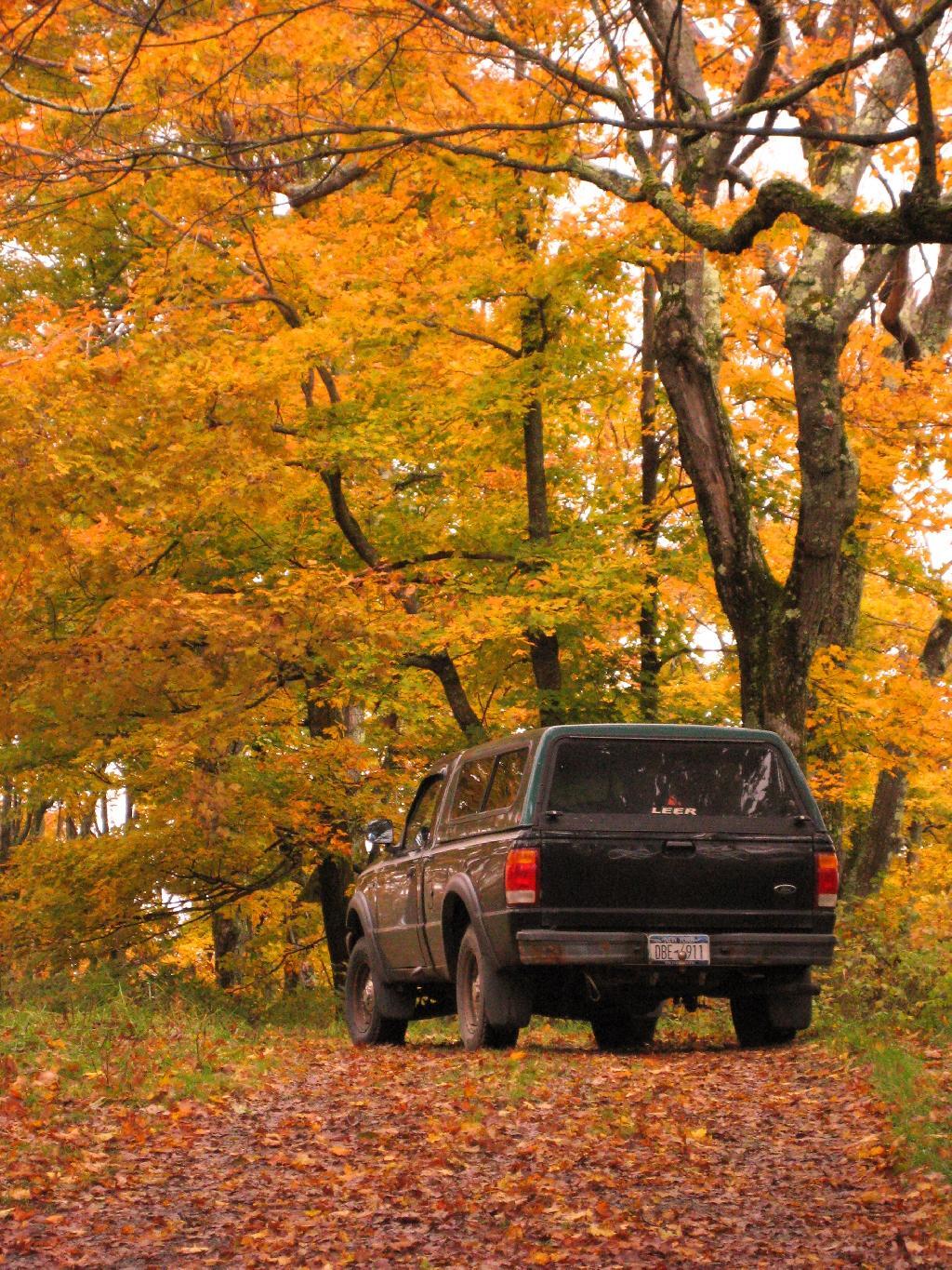 Photo: Parked