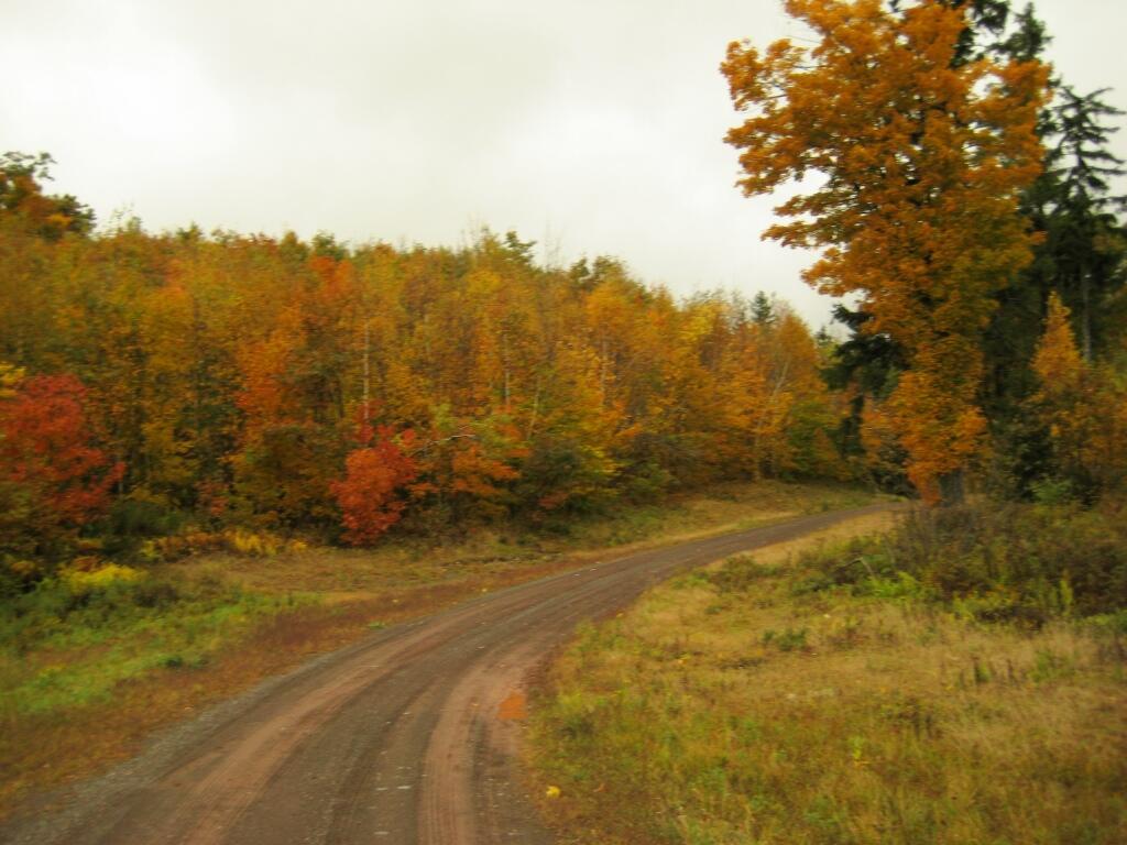 Photo: Leonard Hill Road