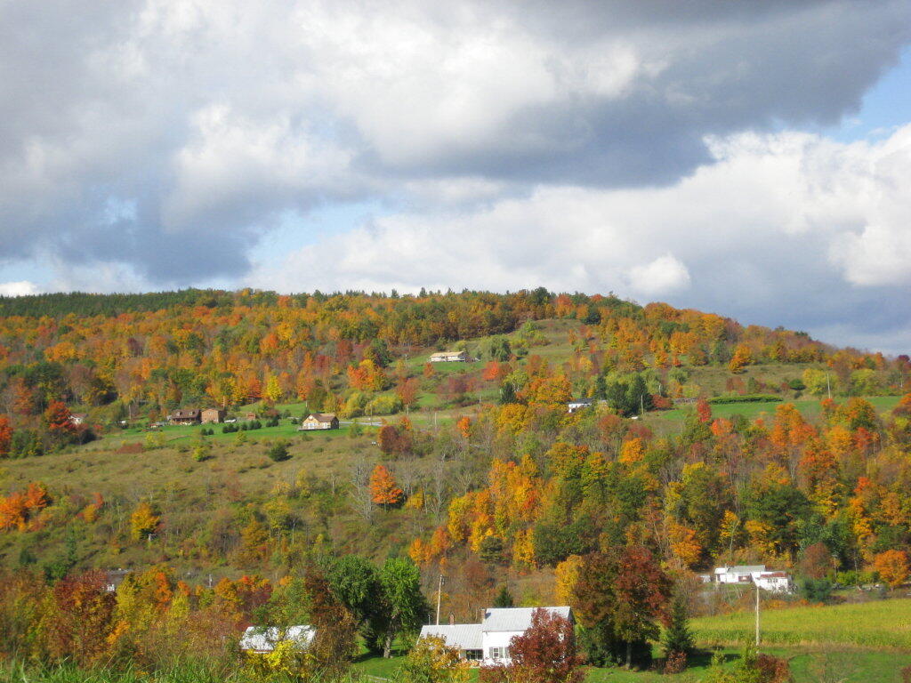 Photo: Hillside Photo: Hillside