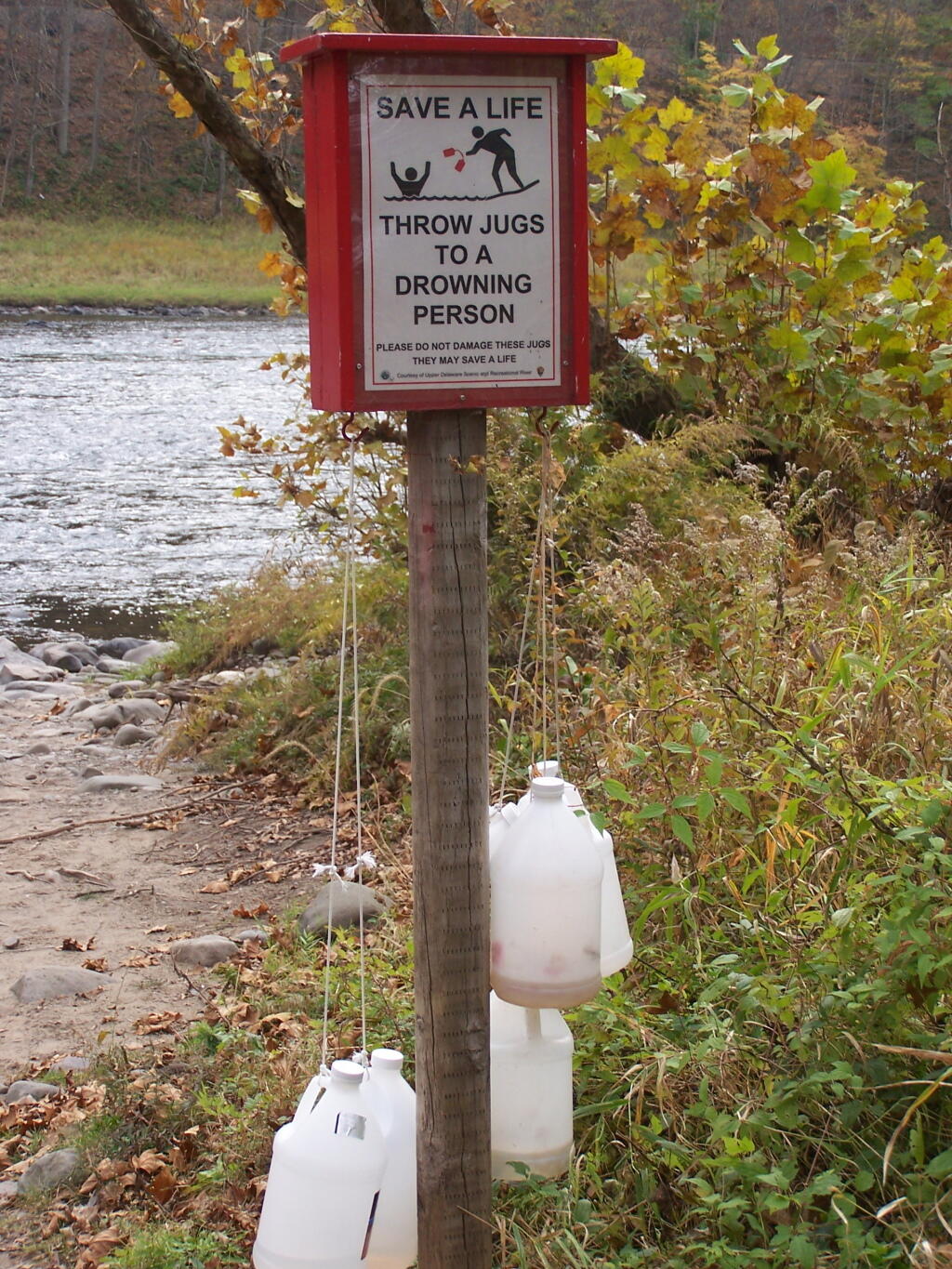 Photo: Throw These Jugs Photo: Throw These Jugs