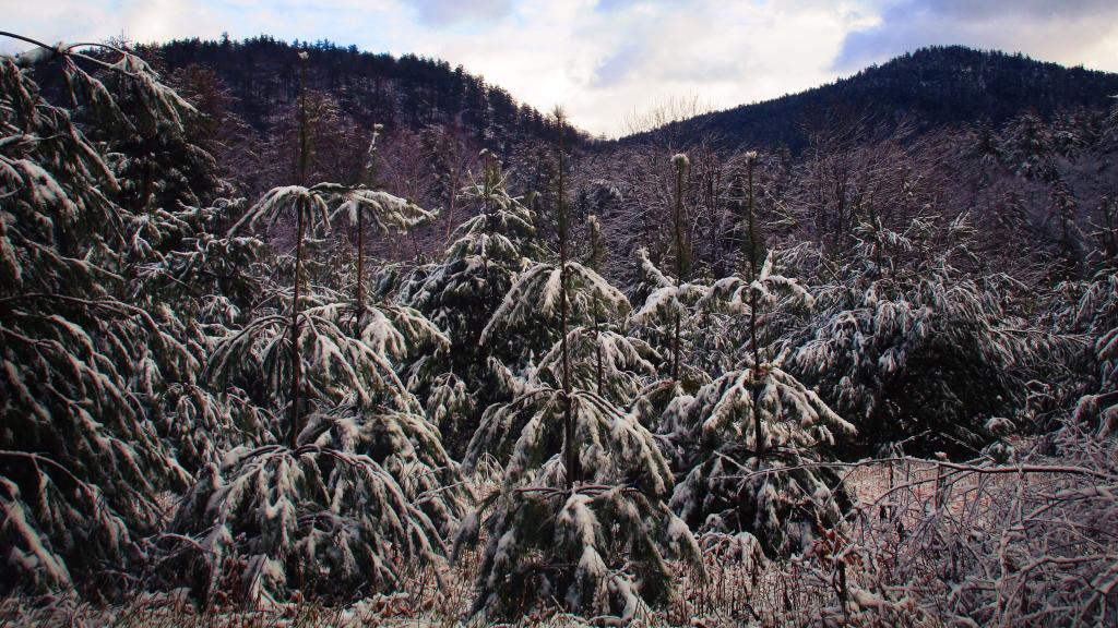 Photo: Eddy Mountain from River Road