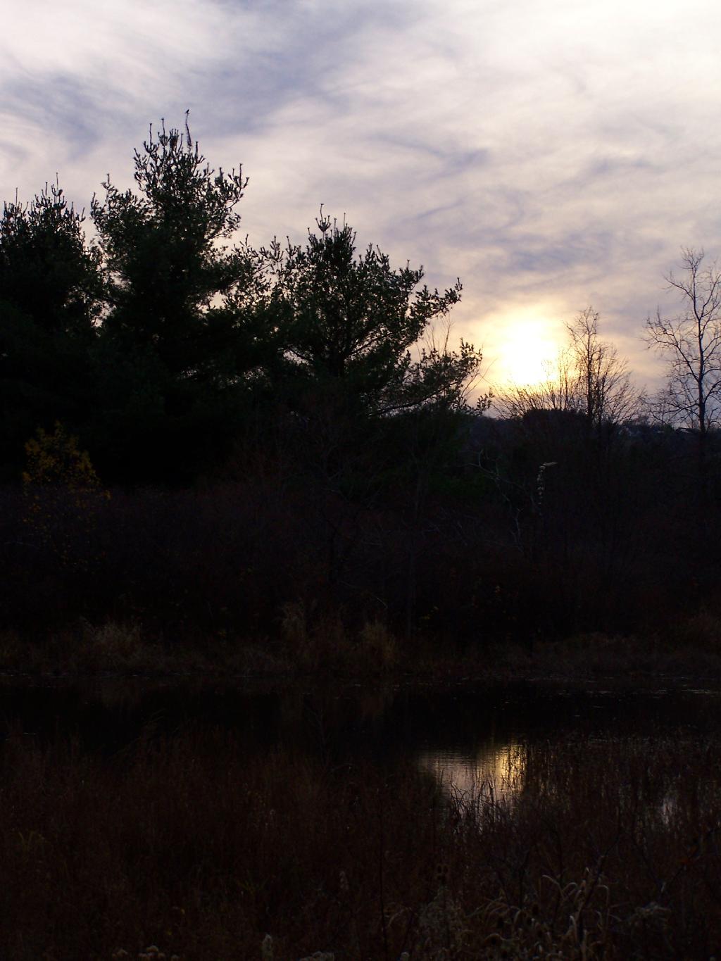 Photo: Pond Reflects