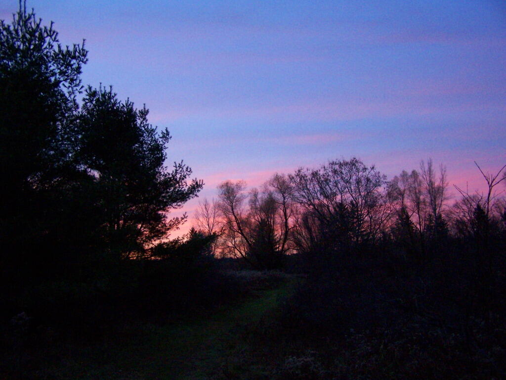 Photo: Getting Dark Photo: Getting Dark