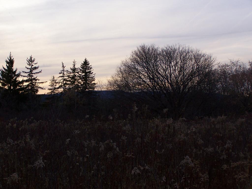 Photo: Escarpment