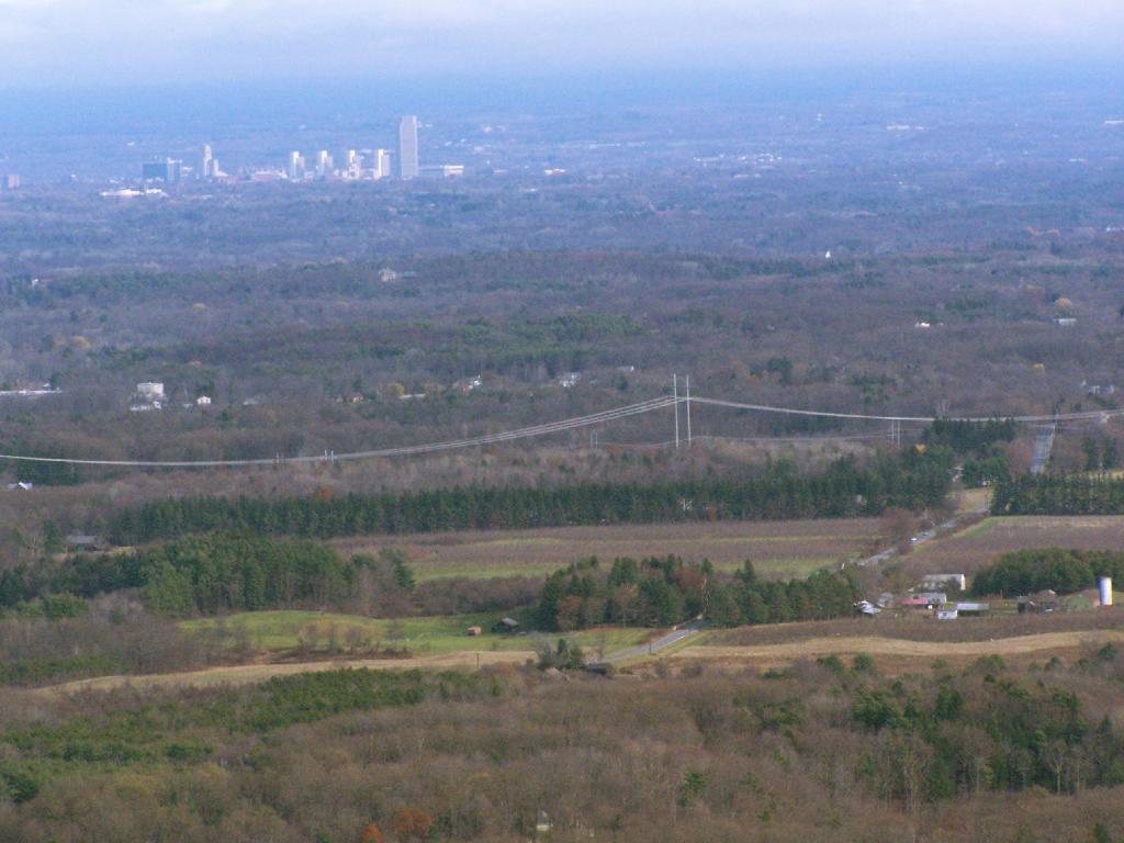 Photo: Albany Photo: Albany