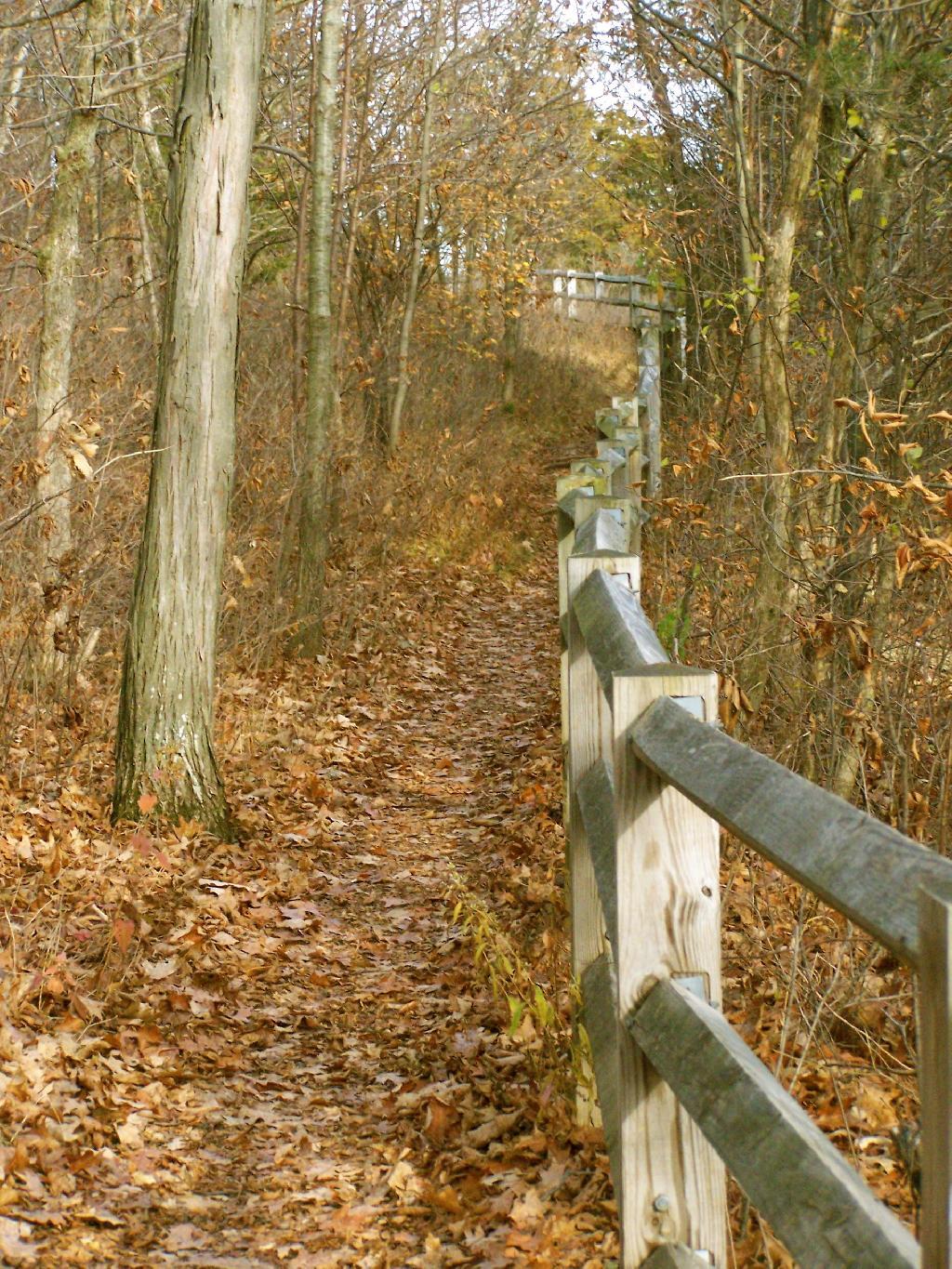 Photo: Fenceline