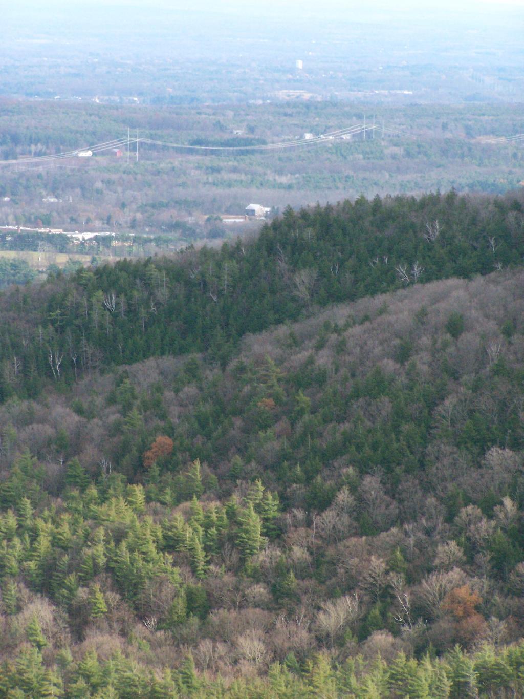 Photo: Hillside Photo: Hillside