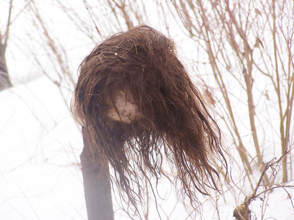 Photo: Head Photo: Head