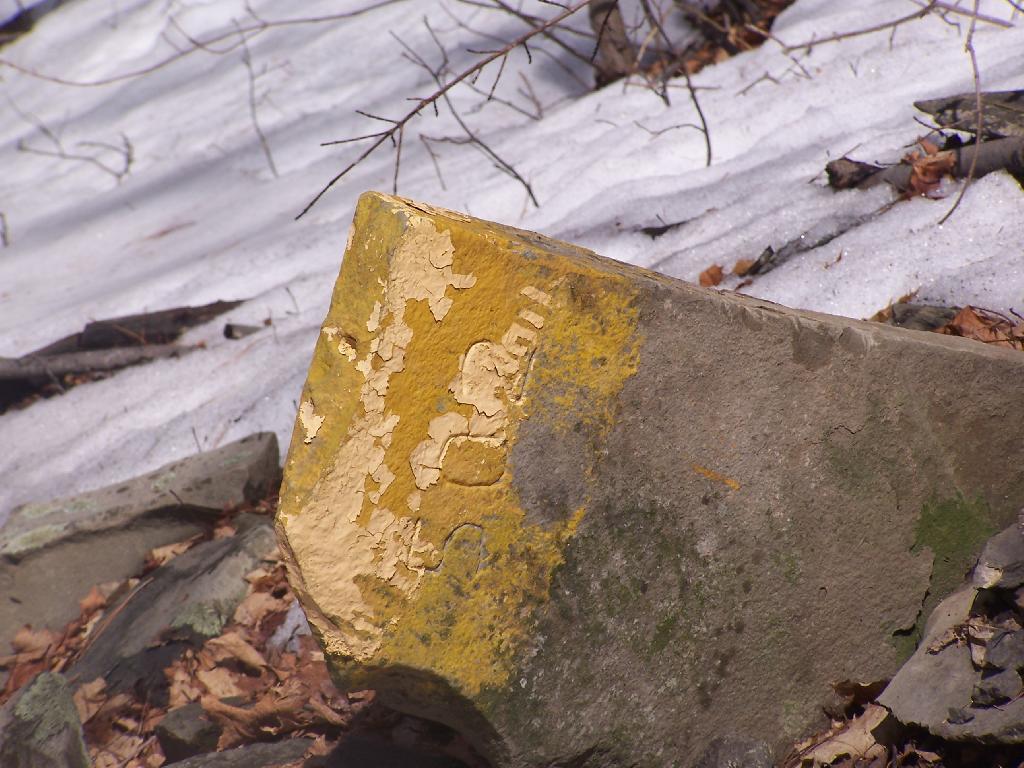 Photo: Property Line Marker