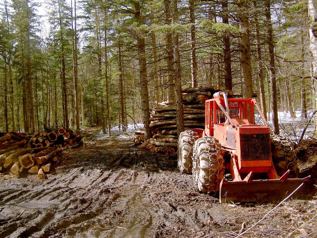Photo: Timberjack Skidder Photo: Timberjack Skidder