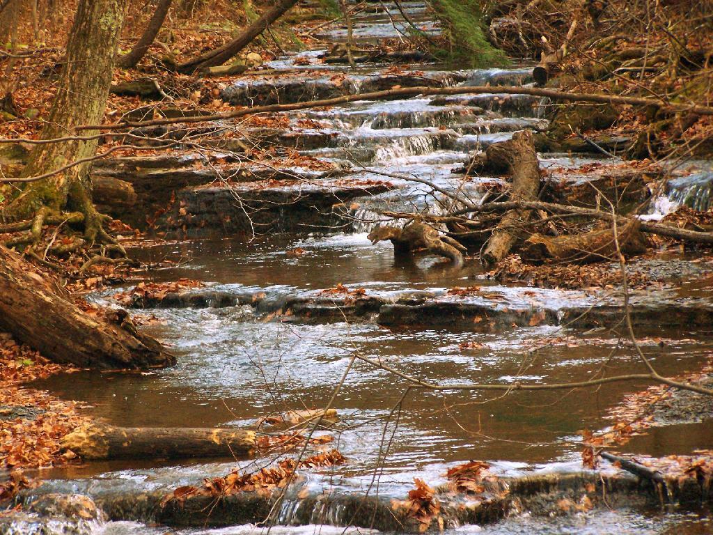 Photo: Paint Mine Creek