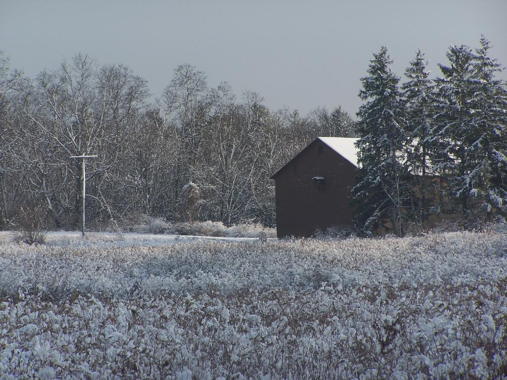 Photo: Barn