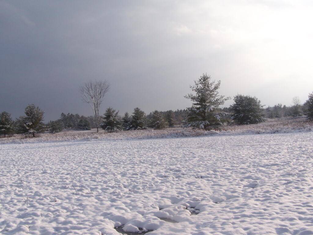 Photo: Field