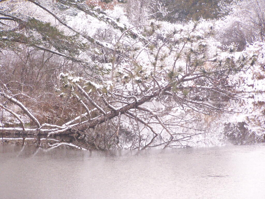 Photo: Frozen Lake