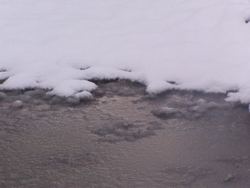 Photo: Frozen Puddle