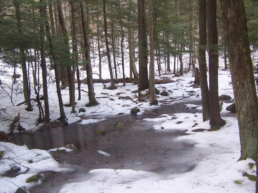 Photo: Icy Patch Photo: Icy Patch