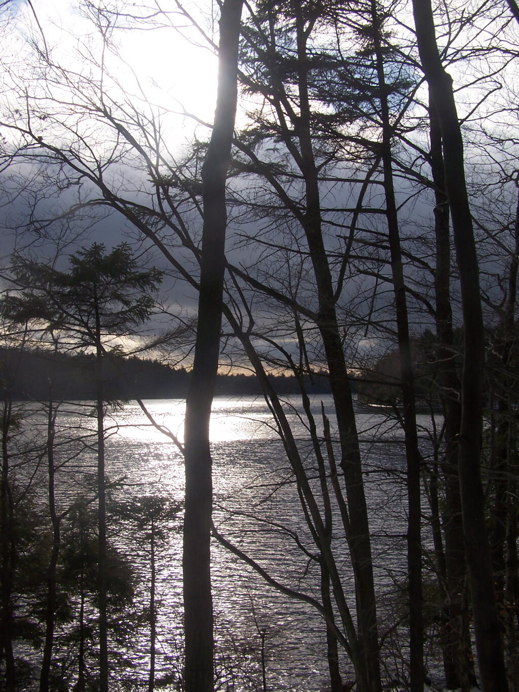 Photo: Long Pond Through the Trees Photo: Long Pond Through the Trees