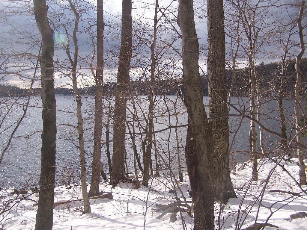 Photo: Far End of Long Pond Photo: Far End of Long Pond