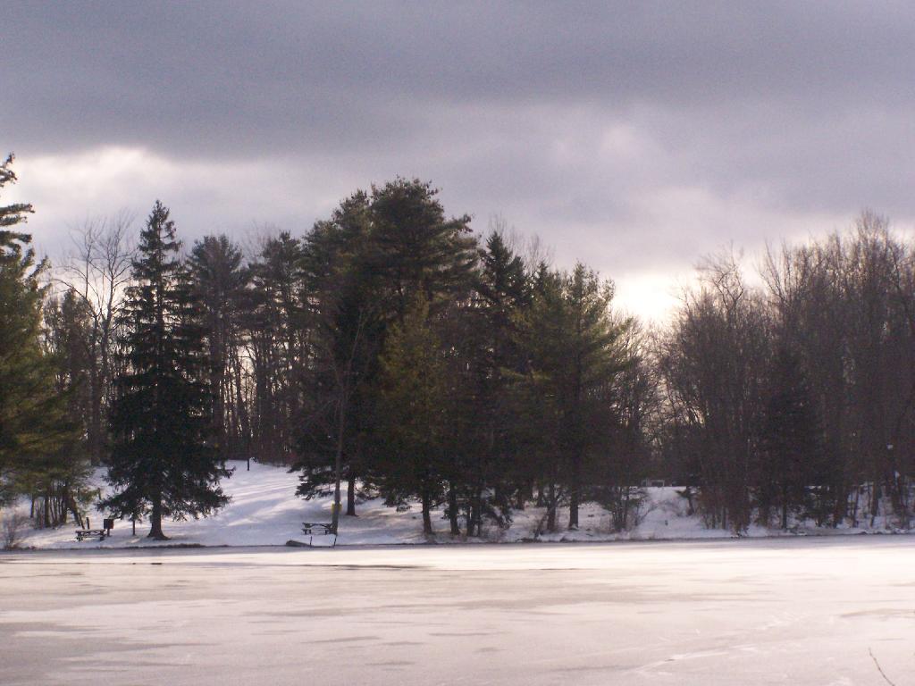 Photo: Second Lake Picnic Area Photo: Second Lake Picnic Area
