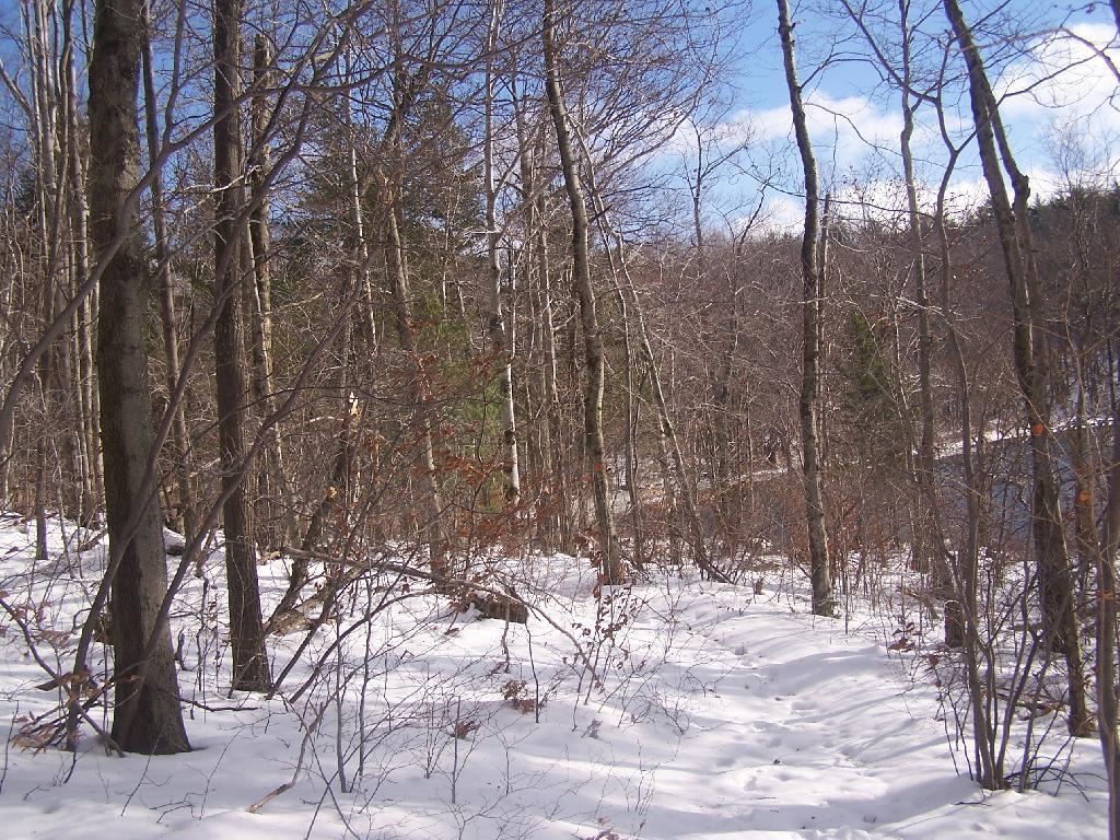 Photo: A Winter Walk Photo: A Winter Walk