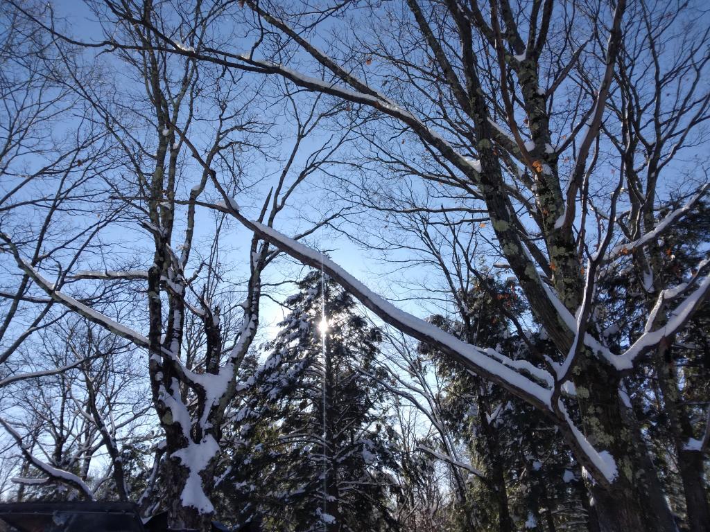 Photo: Winter morning