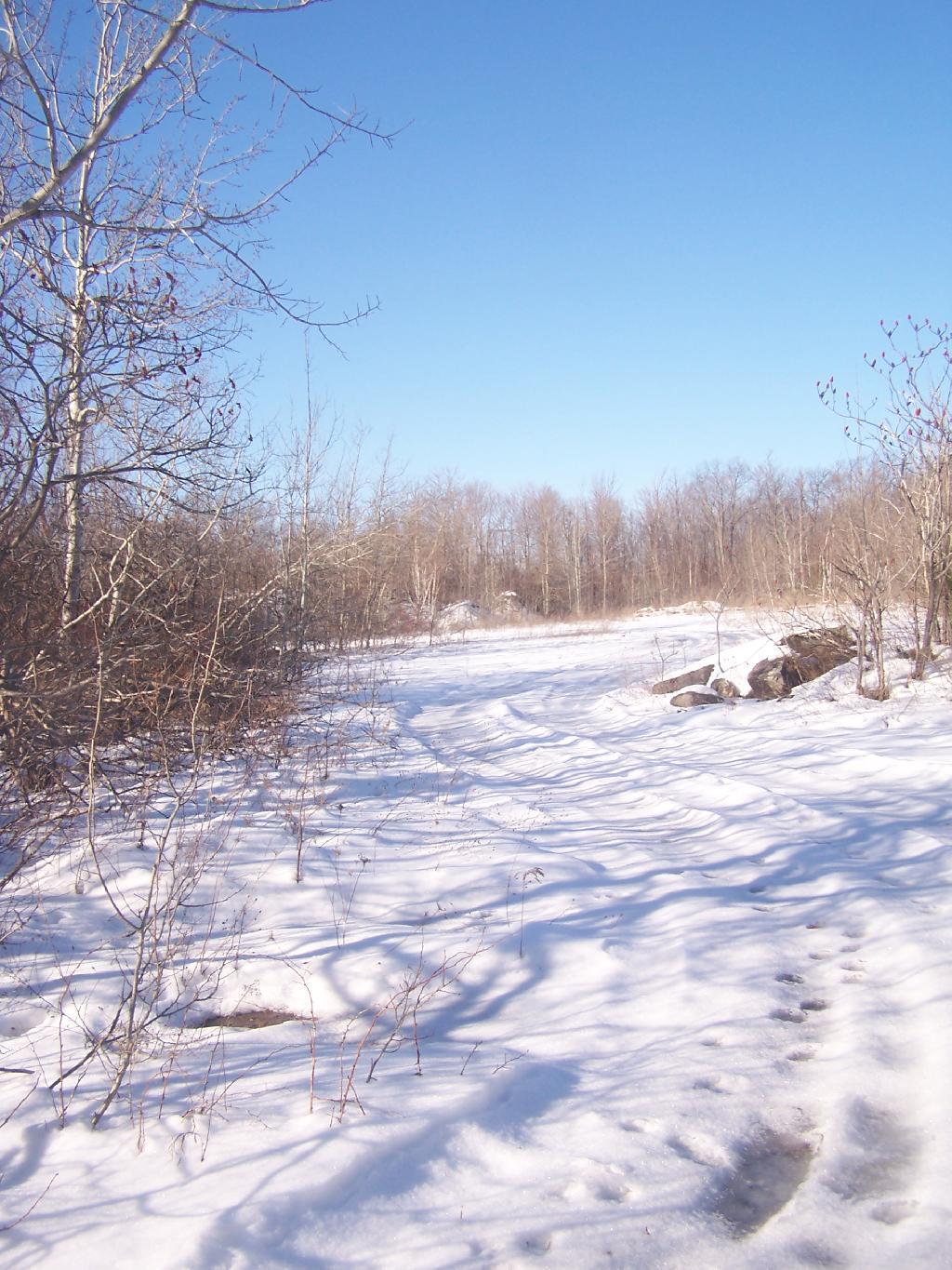 Photo: Bluestone Mine Tracks Photo: Bluestone Mine Tracks
