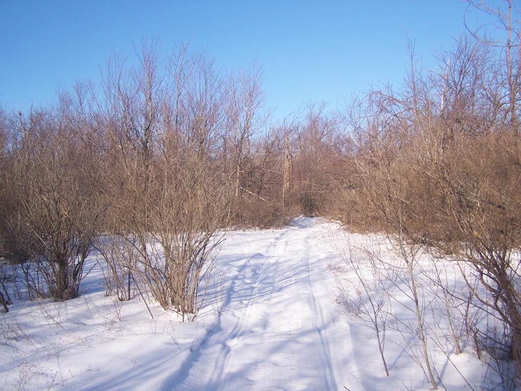 Photo: Following a Snowmobile Trail Photo: Following a Snowmobile Trail