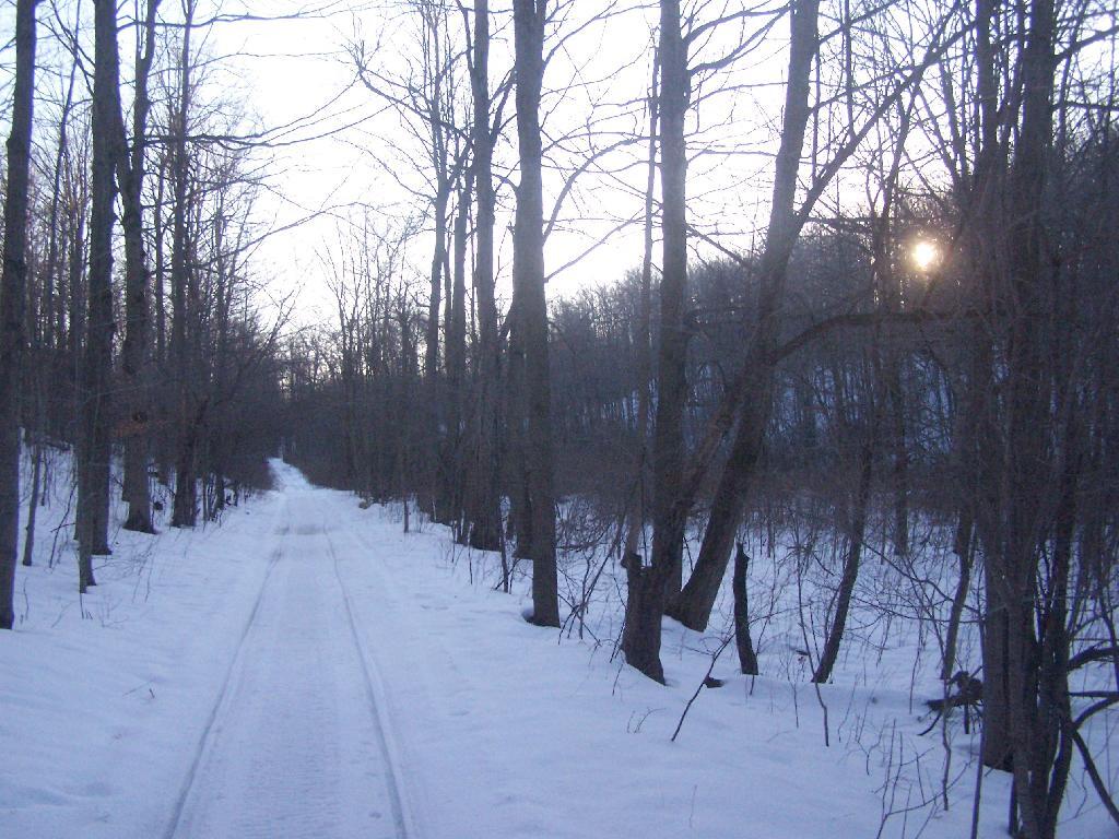 Photo: Setting Sun Photo: Setting Sun