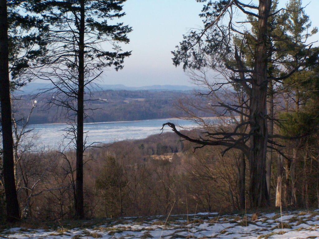 Photo: Clearing