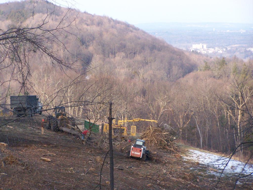 Photo: Removing Logging Trash Photo: Removing Logging Trash