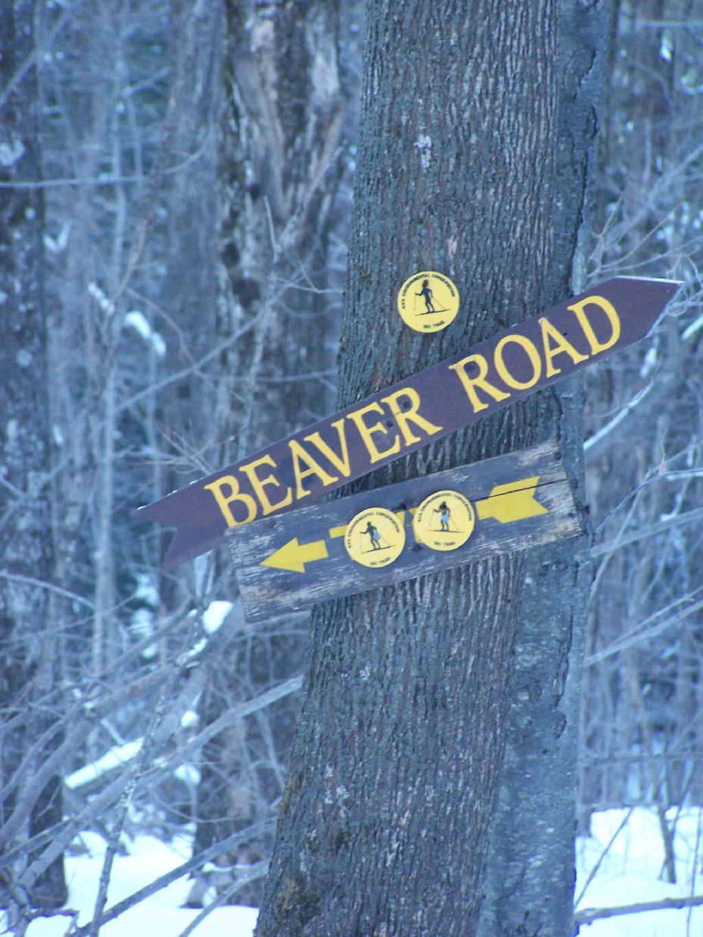 Photo: Turn For Beaver Road