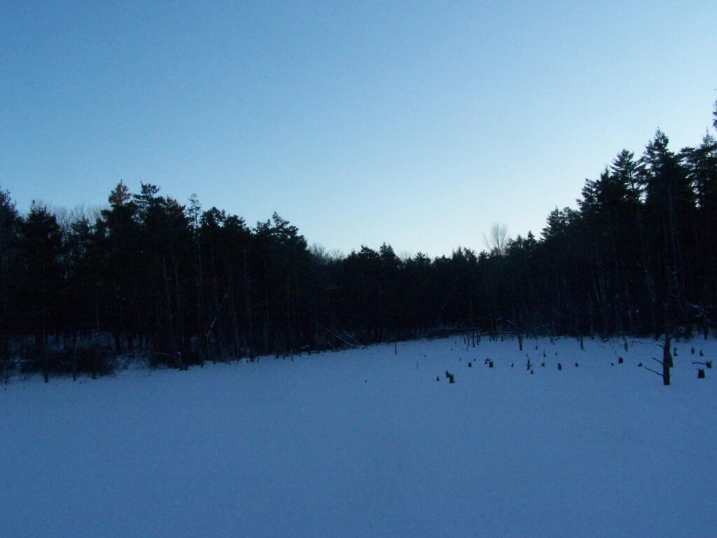 Photo: Unamed Pond Photo: Unamed Pond